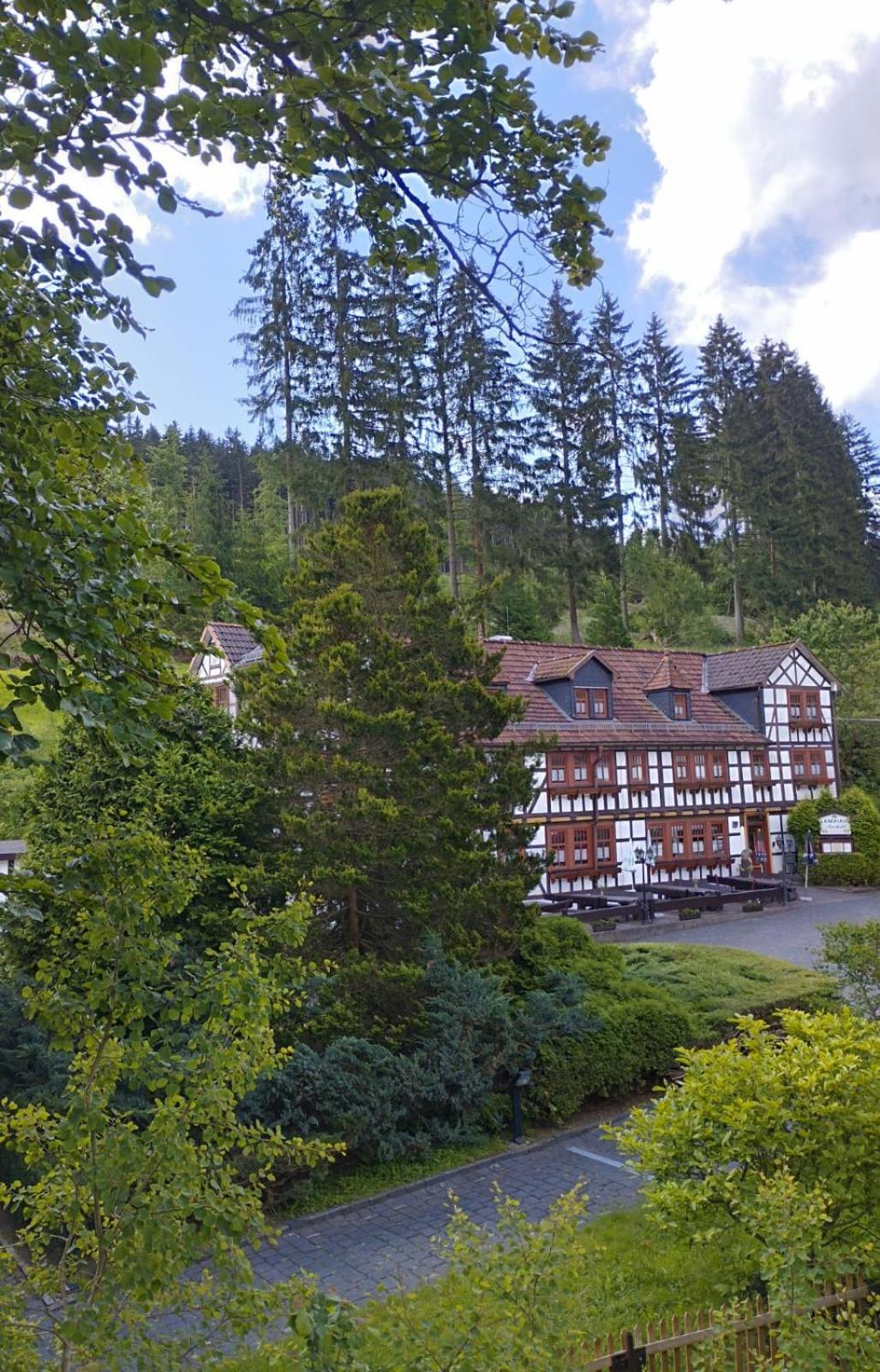 Pension Landhaus Machold Friedrichroda Eksteriør billede