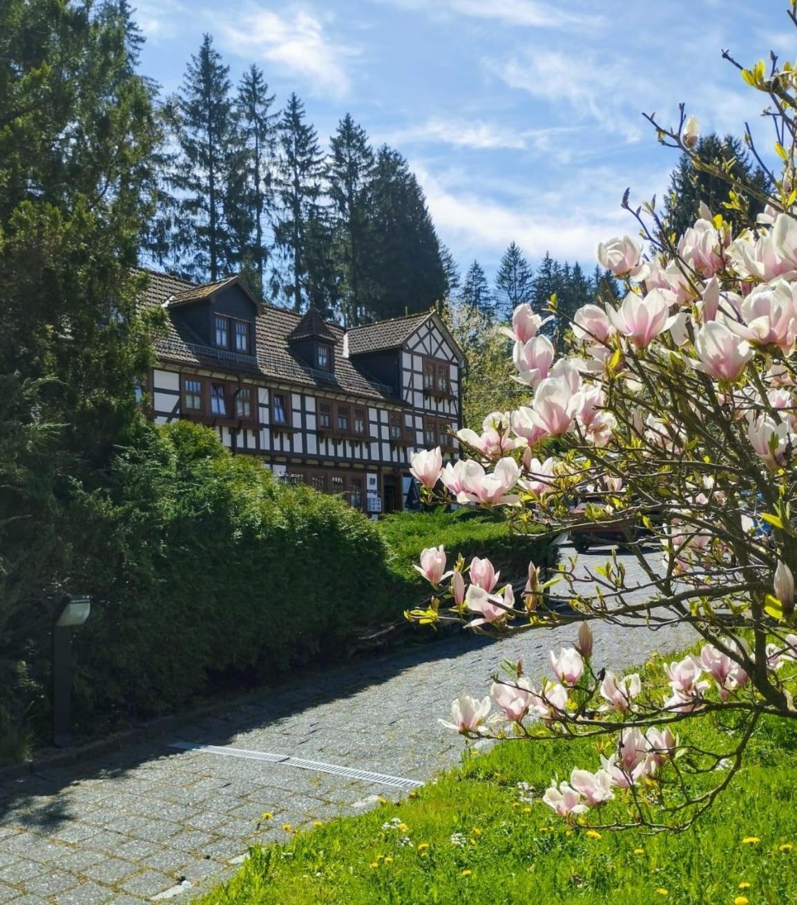 Pension Landhaus Machold Friedrichroda Eksteriør billede