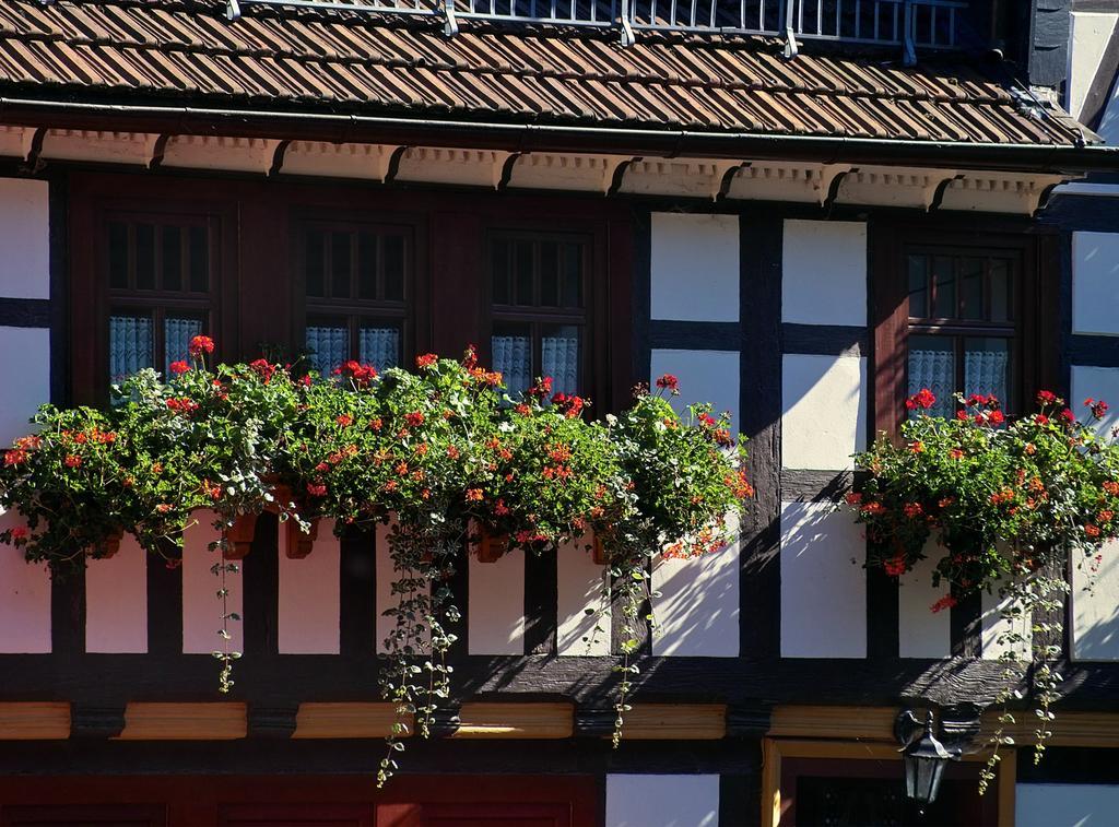 Pension Landhaus Machold Friedrichroda Eksteriør billede